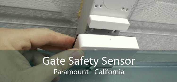 Gate Safety Sensor Paramount - California